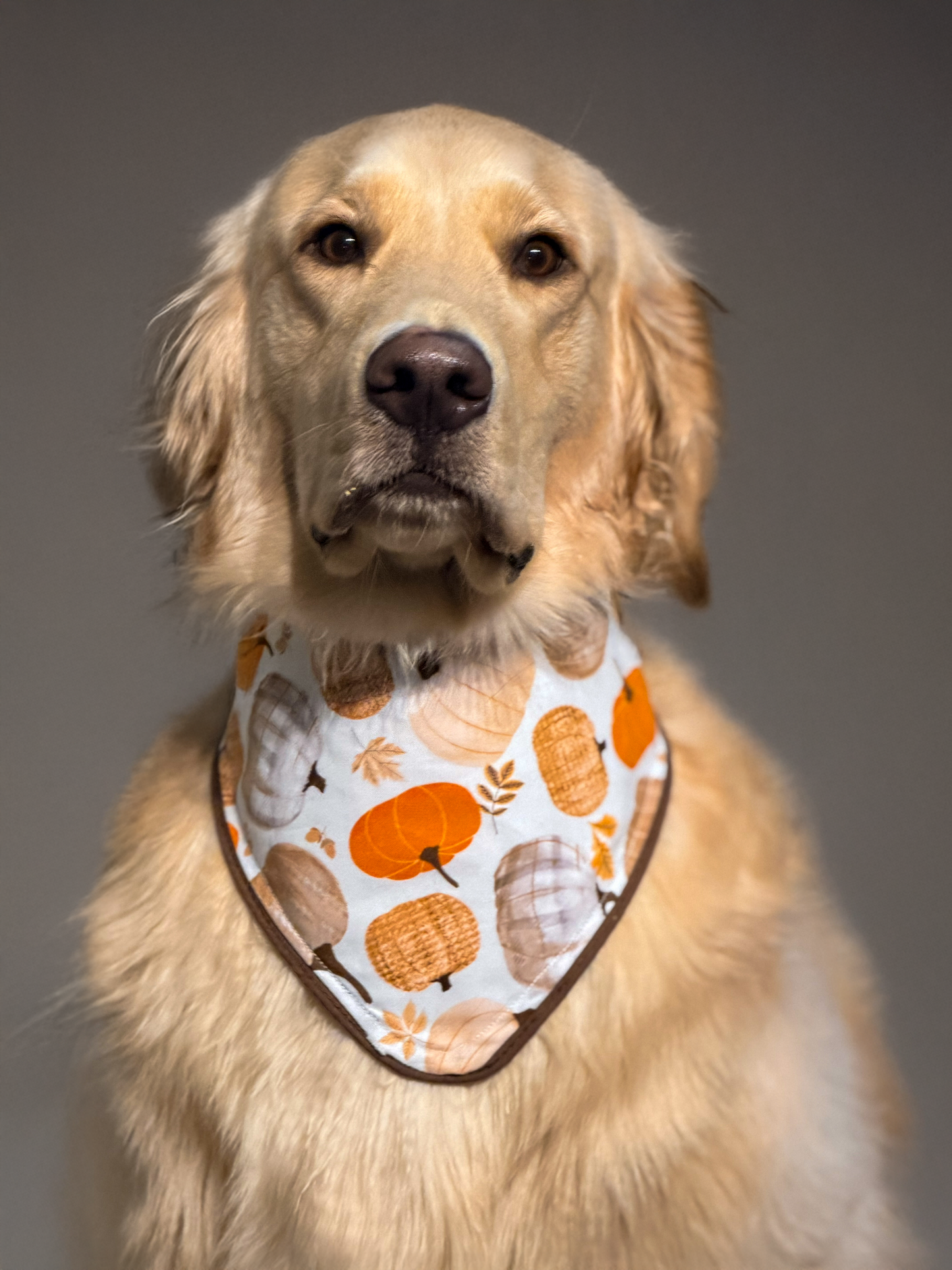 Pumpkin Spice